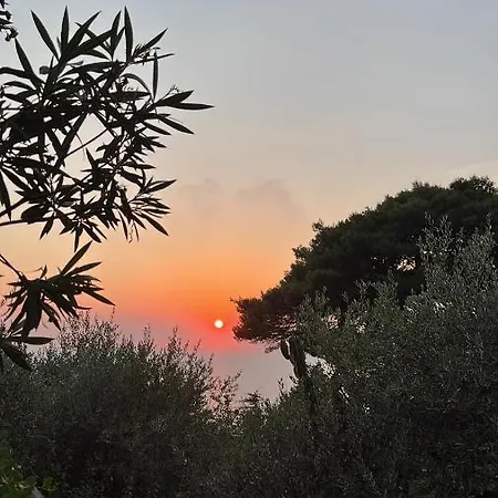 Holiday home Casa Petraquale Anacapri (Isola di Capri)